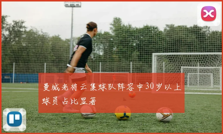 曼城老将云集球队阵容中30岁以上球员占比显著